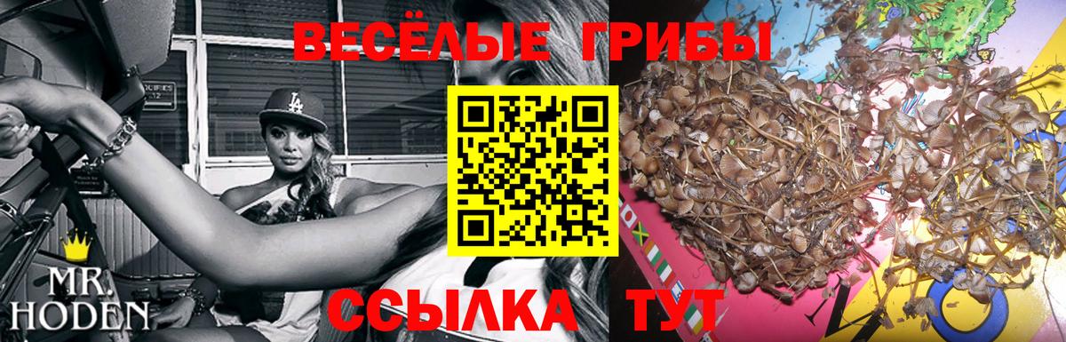 закладки  Галлюциногенные грибы Psilocybe  Вход с VPN  Борзя 